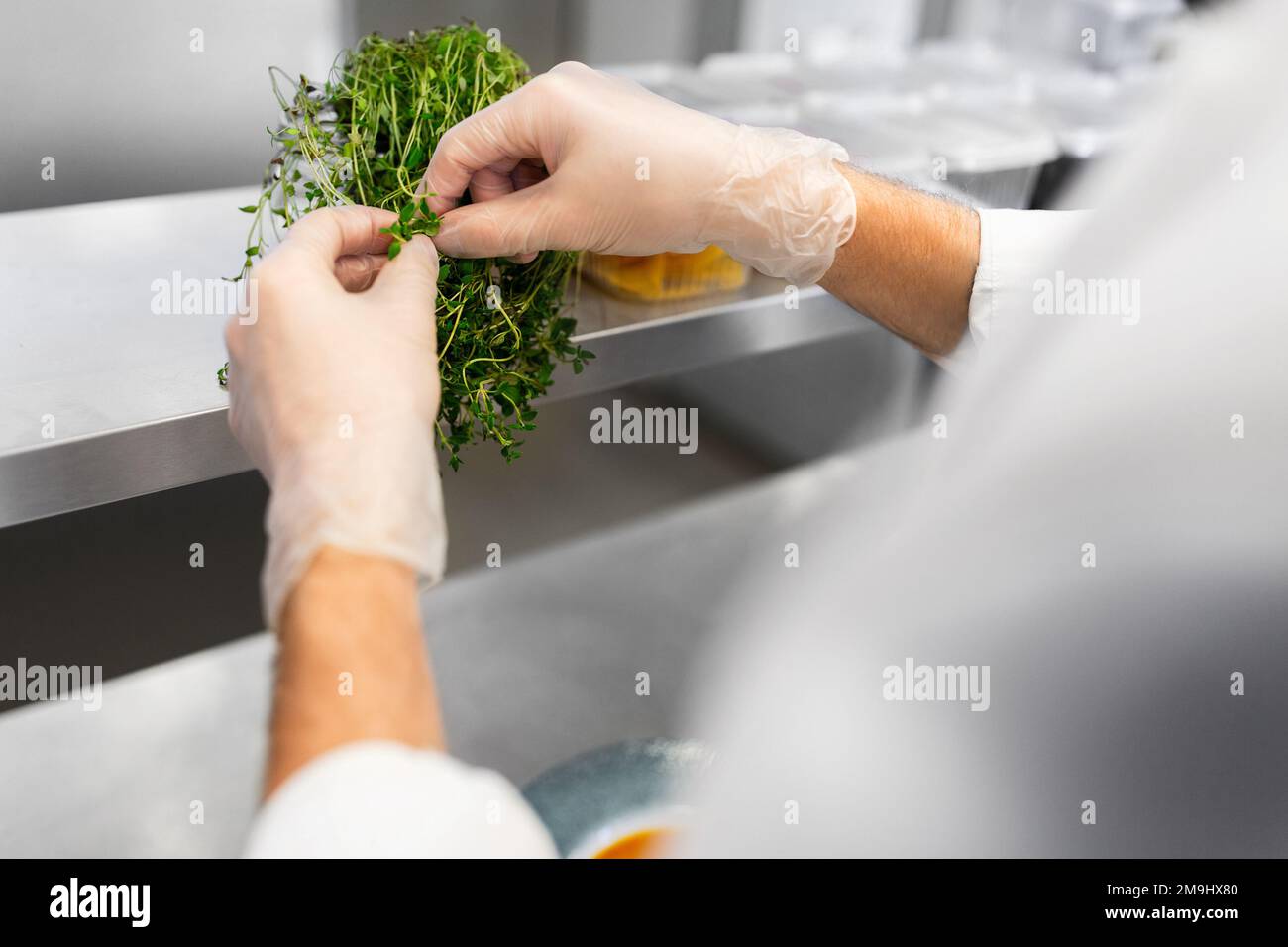 hands of chef with thyme at restaurant kitchen Stock Photo