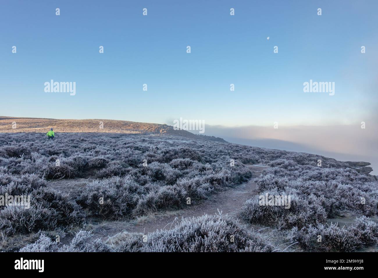 Breaking through the fog on Ilkley Moor on a cold day with thick frost on the heather. a runner is fell running on Ilkley Moor with the moon hight in Stock Photo