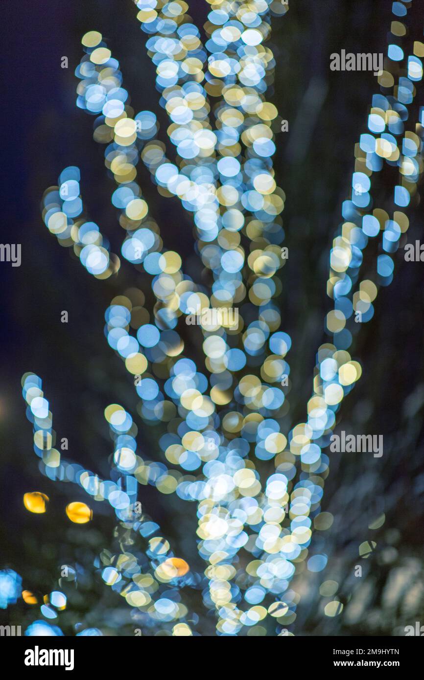 bokeh lights on decorated tree at night Stock Photo