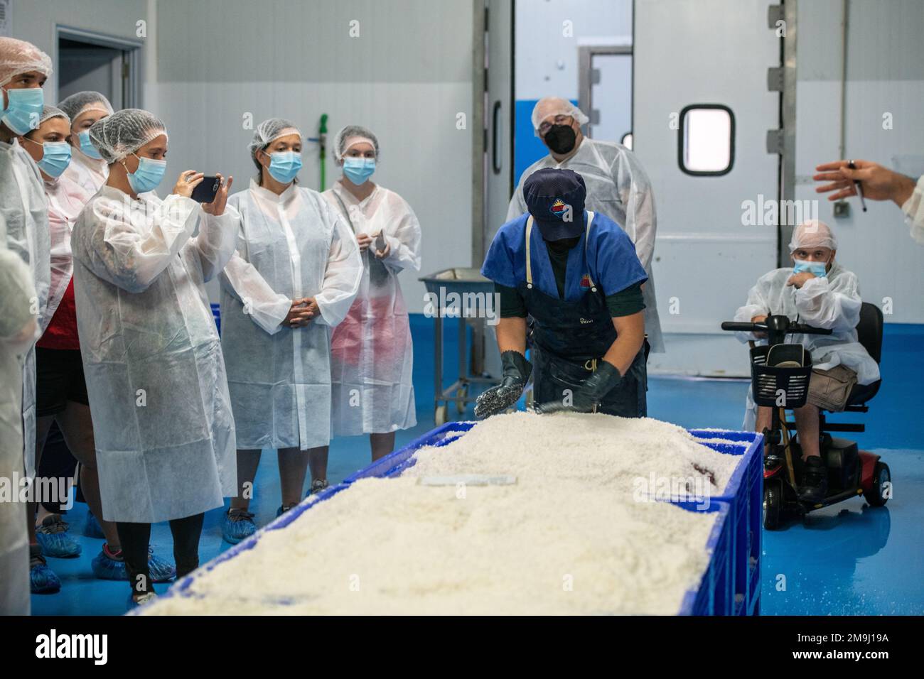 Cutting and prepping fish for canning process, Fish canning factory