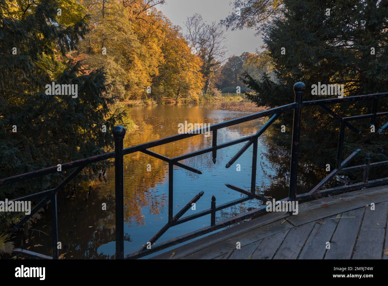 Pond in a park hi-res stock photography and images - Alamy