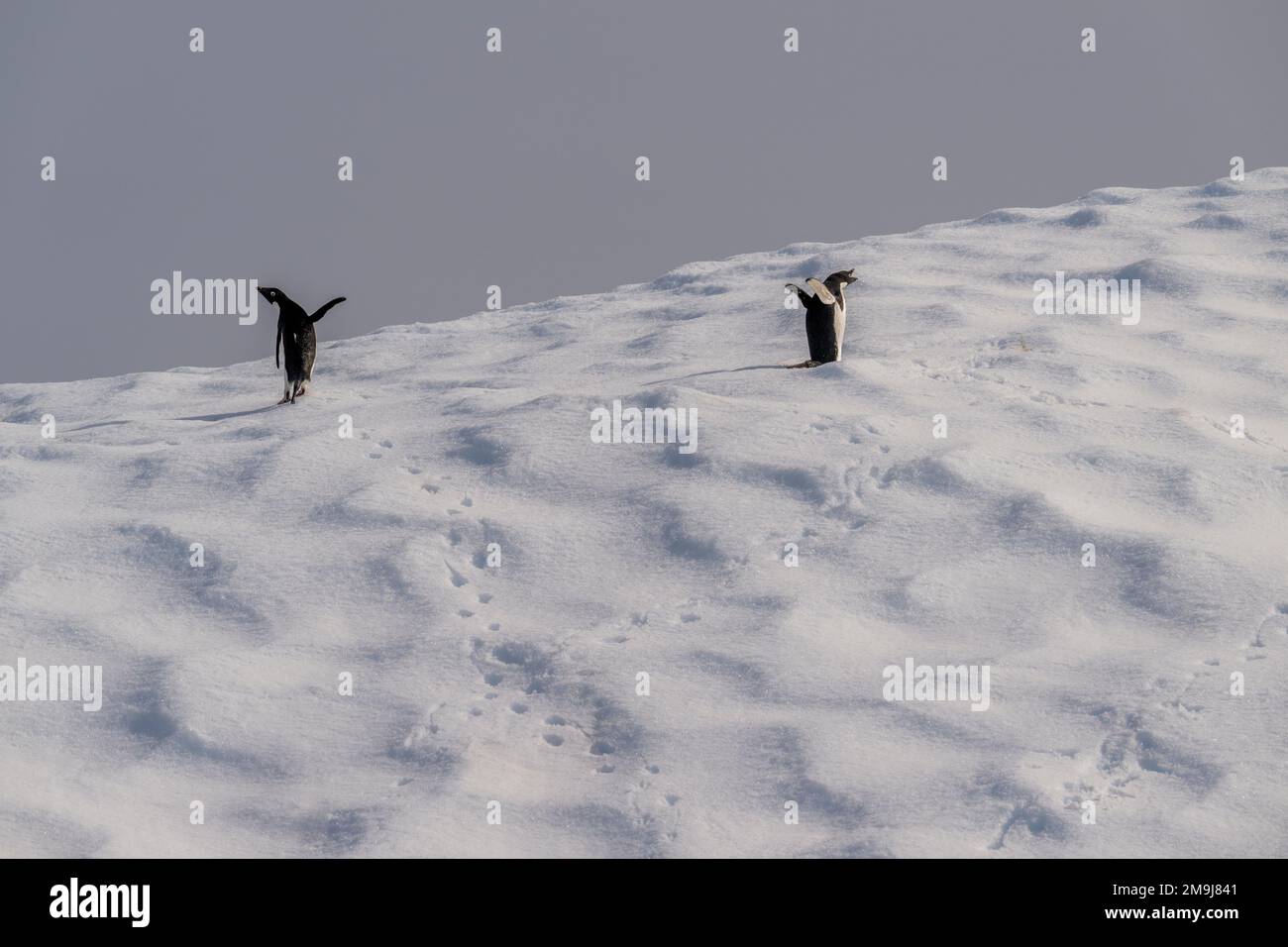 Road Rouxles, image size:1300x956