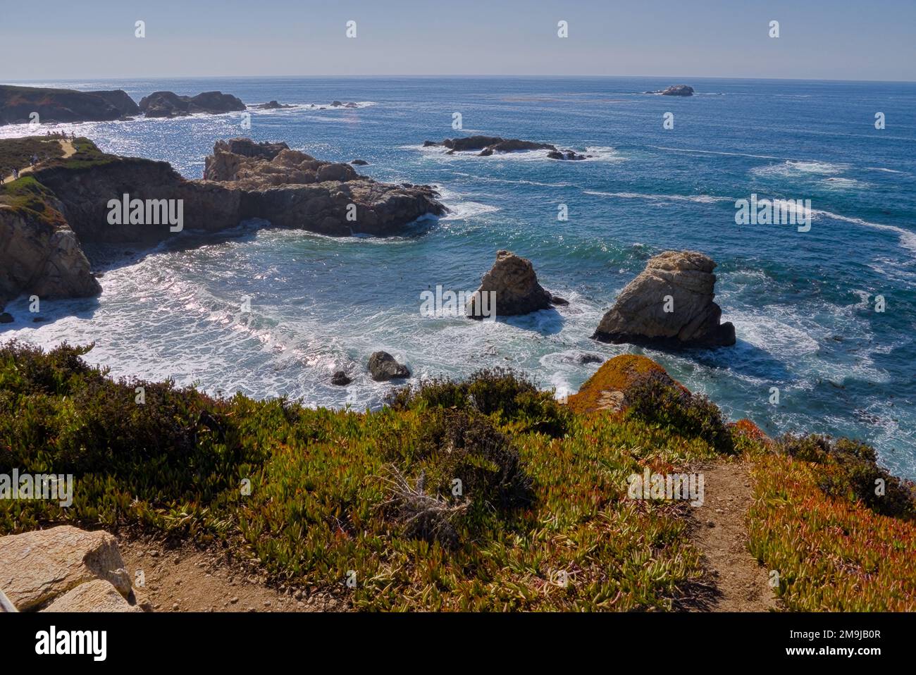 Rusty Reddis Beach Rocks Coast cliff covered with reddish color plants with a hiking trial ...