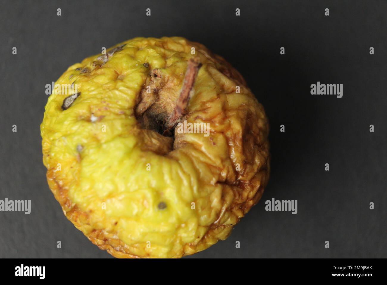 a dry old apple wrinkled on a black background. Ugly foods. Bad spoiled fruit food Stock Photo