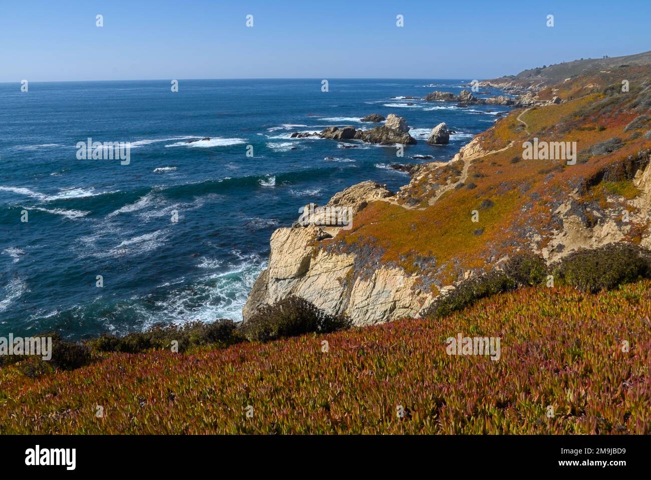 Coast cliff covered with reddish color plants with a curve hiking trial. There're also rocks in the blue sea water. Stock Photo