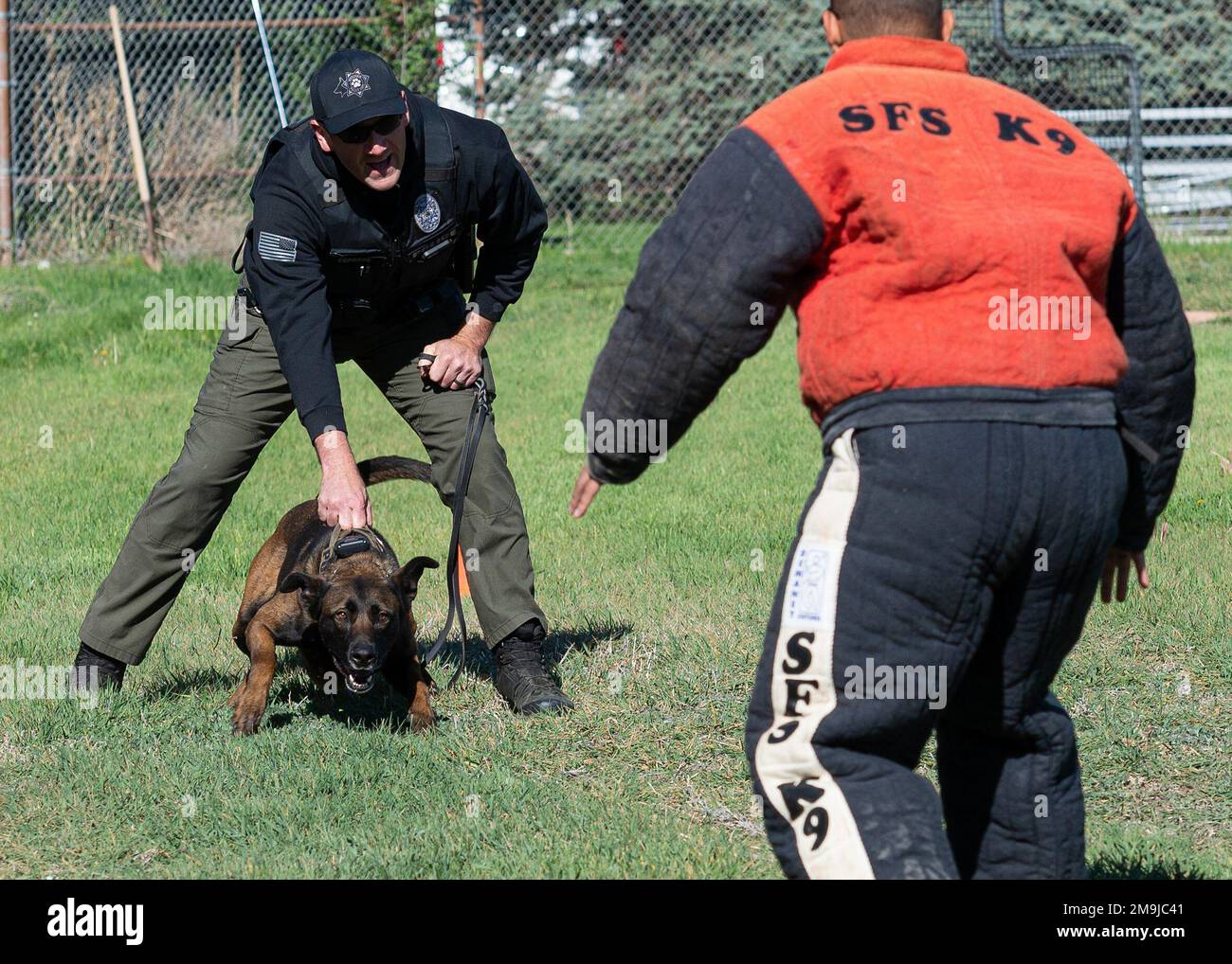Brandon Esparza, Meridian Police Department officer, secures his K-9, KB, as he prepares to release it to deter the decoy in the bitesuit during a K-9 demonstration and competition on May 19, 2022 at Mountain Home Air Force Base, ID. A primary way the working dogs are motivated to learn is through the use of playtime. Stock Photo
