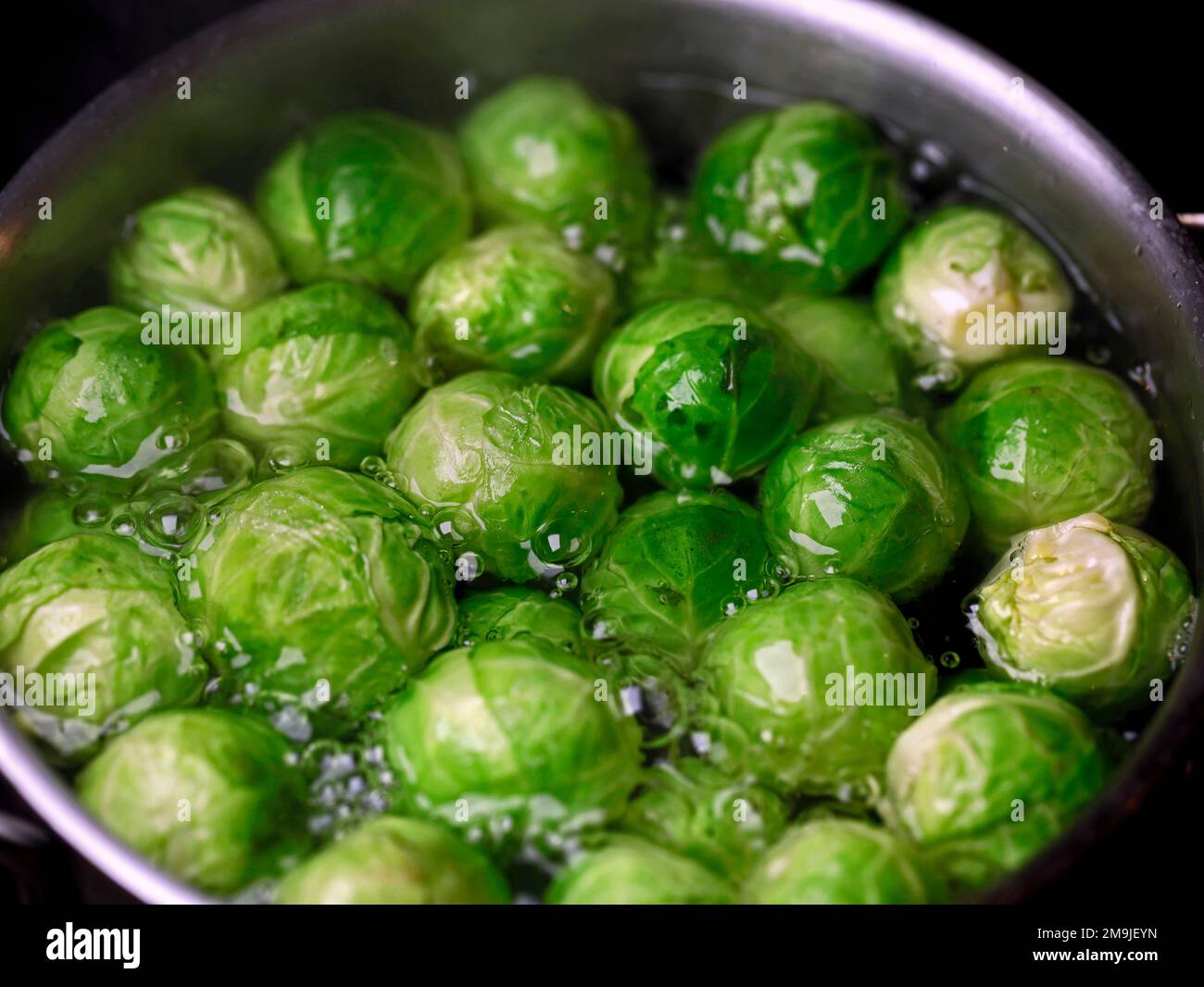 Close up of Brussels sprouts in boiling water pot Stock Photo