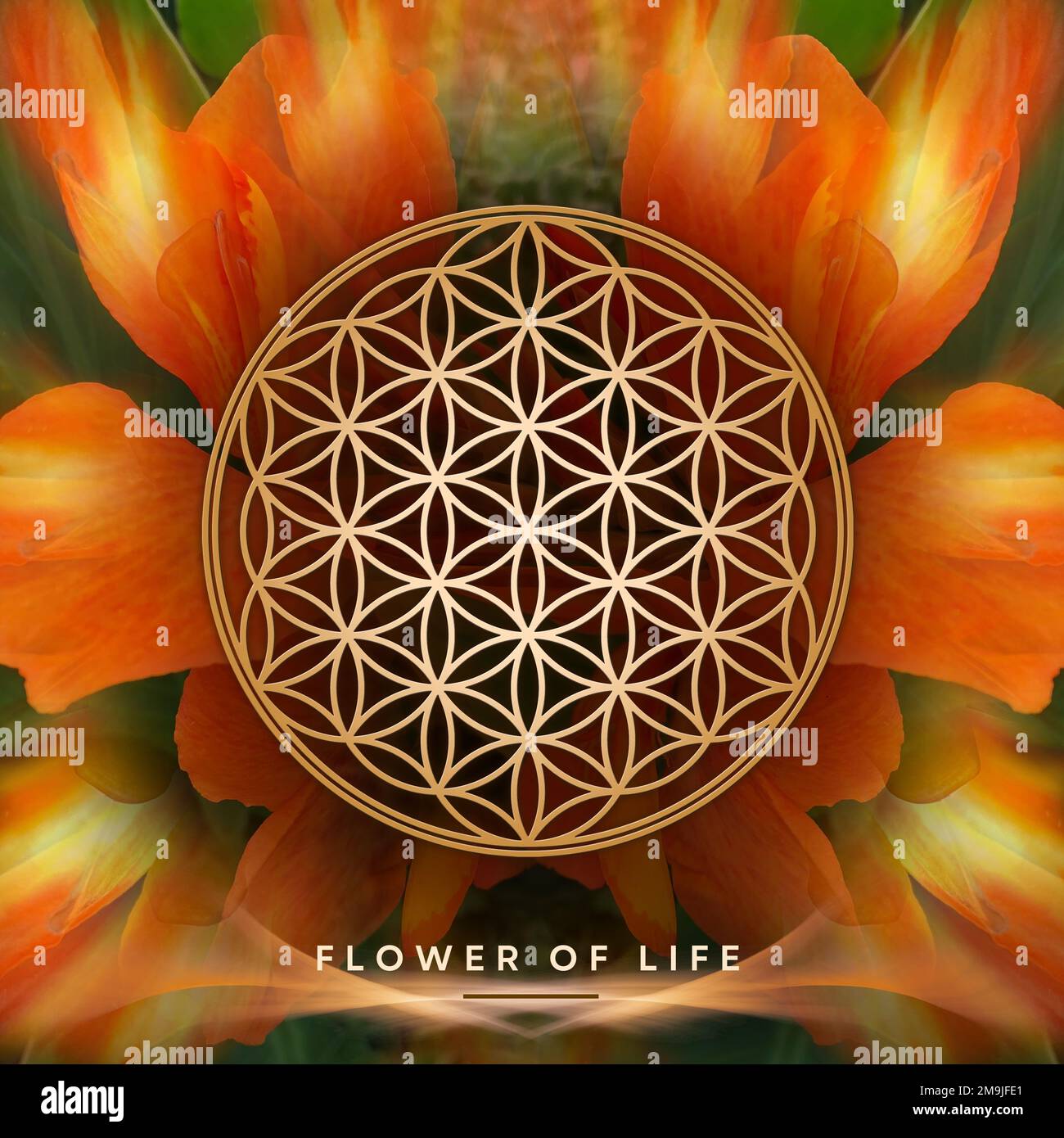 Flower of life mandala hi-res stock photography and images - Alamy, image size:1300x1390