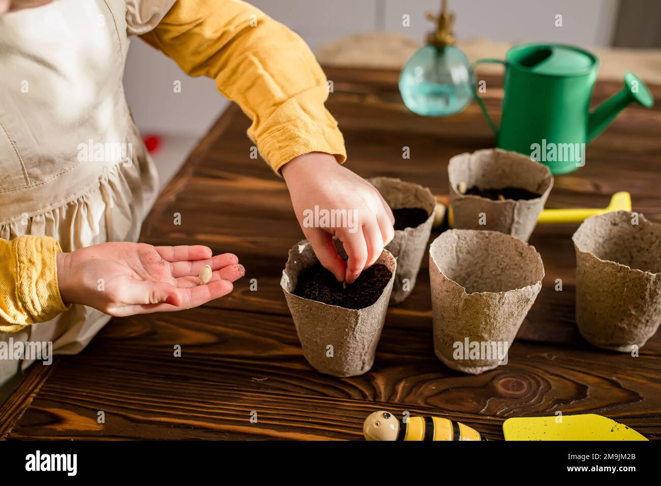 Seeds in a child's hand. Help mom plant seeds in peat pots. Green