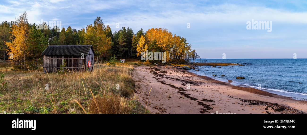 Beach and autumn forest, Lahemaa National Park, Baltic Sea, Estonia Stock Photo