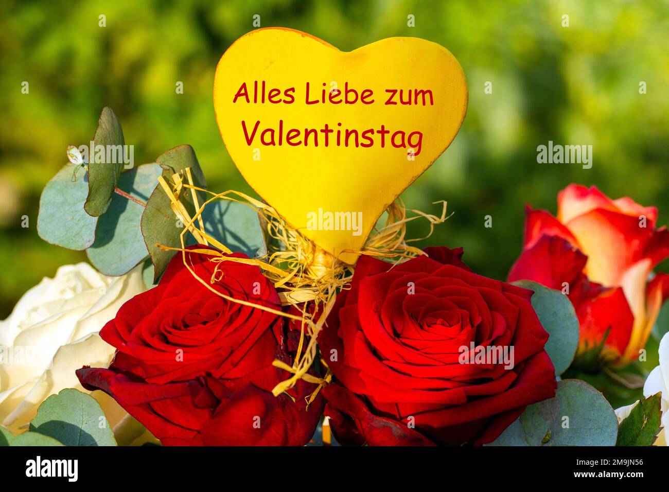 Valentine's Day greetings with red and white roses. The heart in the middle says (in German) Alles Liebe zum Valentinstag (All the best for Valentine' Stock Photo