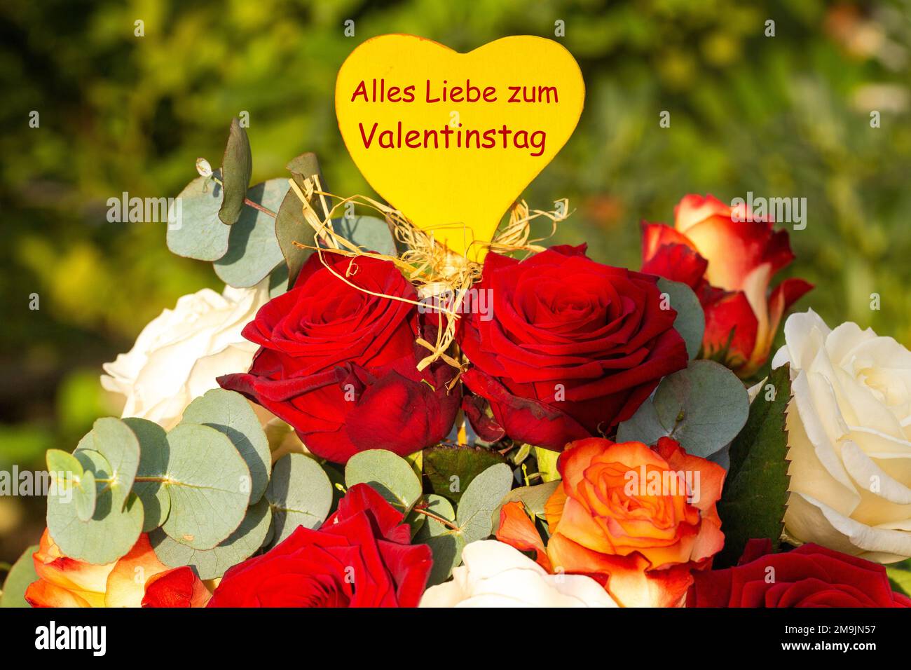 Valentine's Day greetings with red and white roses. The heart in the middle says (in German) Alles Liebe zum Valentinstag (All the best for Valentine' Stock Photo