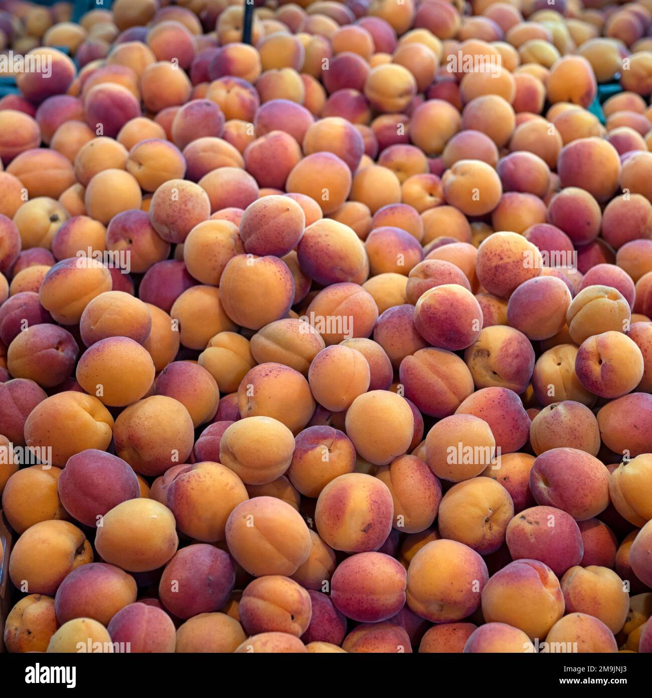 Fresh ripe Apricots at a market stall Stock Photo