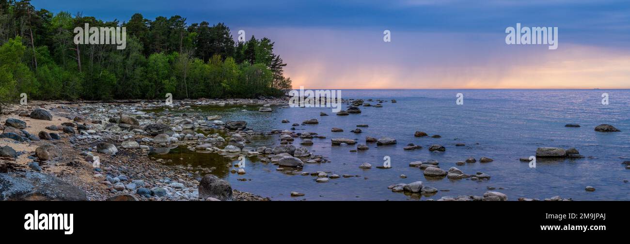 Beach and forest, Paldiski, Pakri Peninsula, Baltic Sea, Estonia Stock Photo