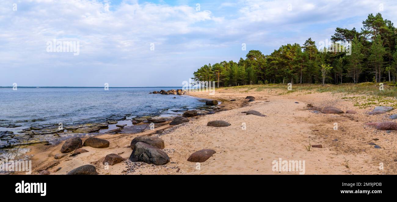 Beach and forest, Paldiski, Pakri Peninsula, Baltic Sea, Estonia Stock Photo