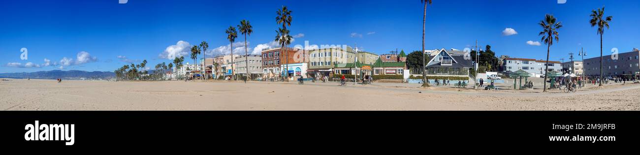 Palm trees along boardwalk and beach, Venice Beach, California, USA Stock Photo