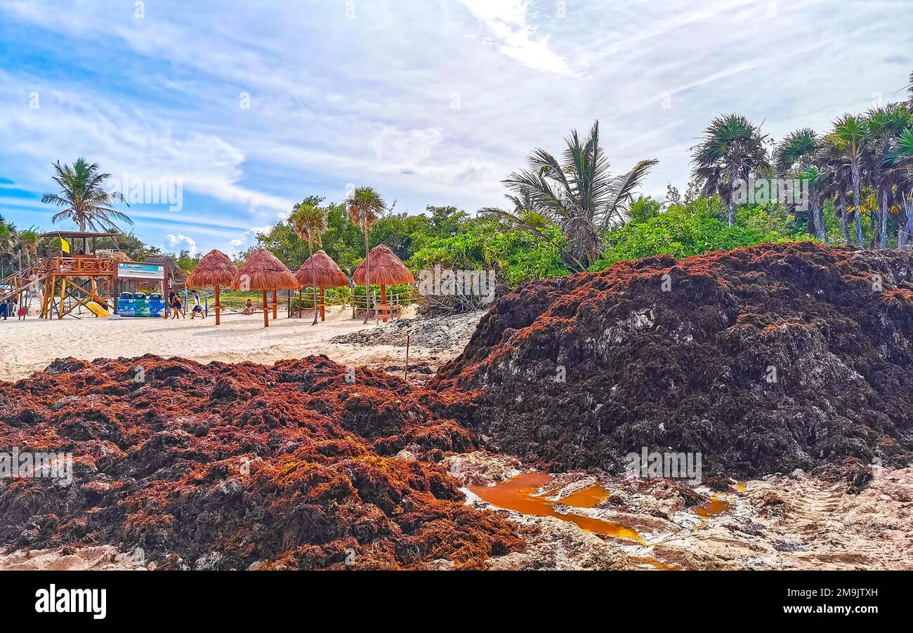 The beautiful Caribbean beach totally filthy and dirty the nasty ...