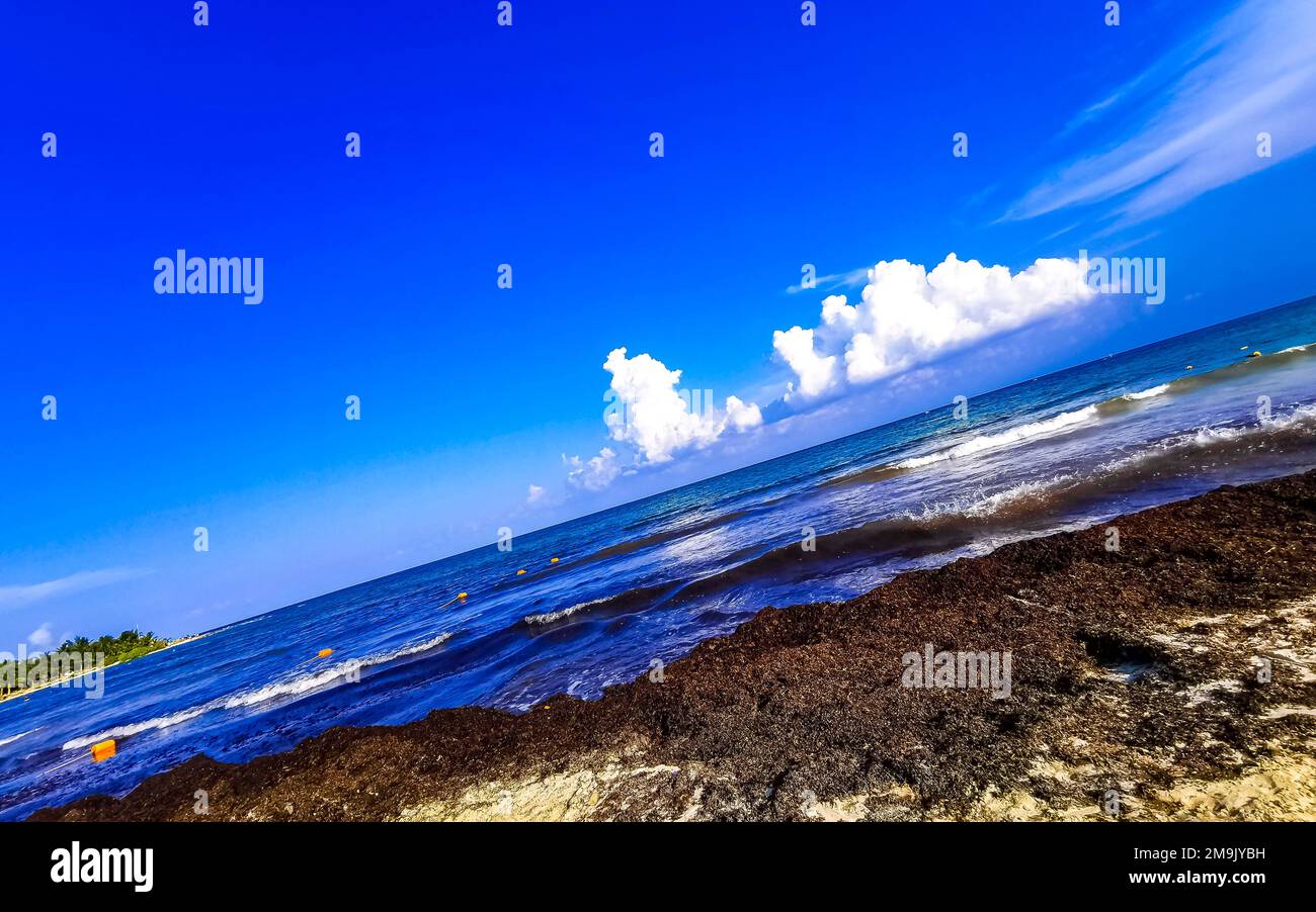 The beautiful Caribbean beach totally filthy and dirty the nasty ...