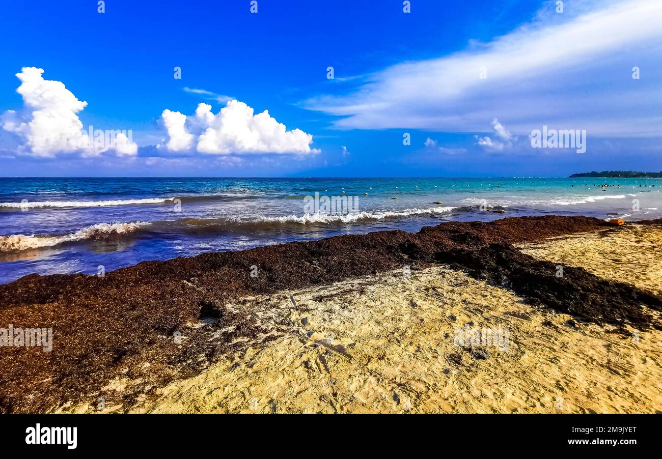 The beautiful Caribbean beach totally filthy and dirty the nasty ...