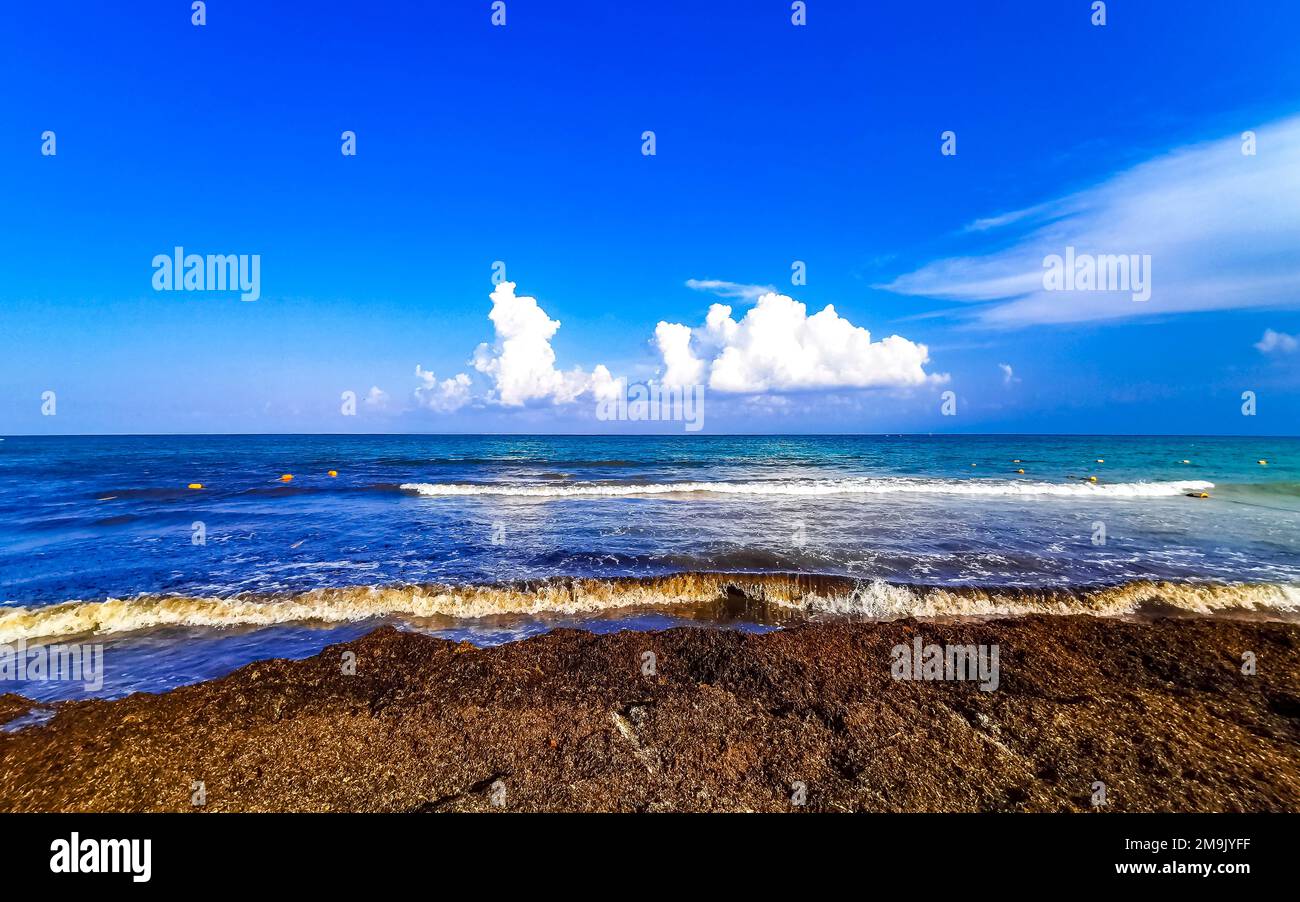 The beautiful Caribbean beach totally filthy and dirty the nasty ...