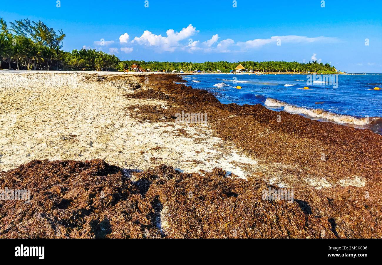 The beautiful Caribbean beach totally filthy and dirty the nasty ...