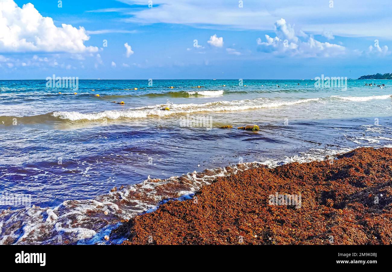 The beautiful Caribbean beach totally filthy and dirty the nasty ...