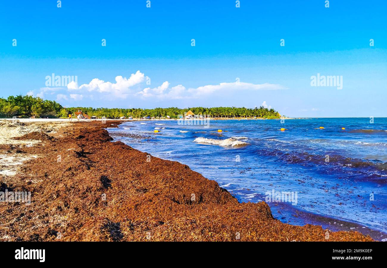 The beautiful Caribbean beach totally filthy and dirty the nasty ...