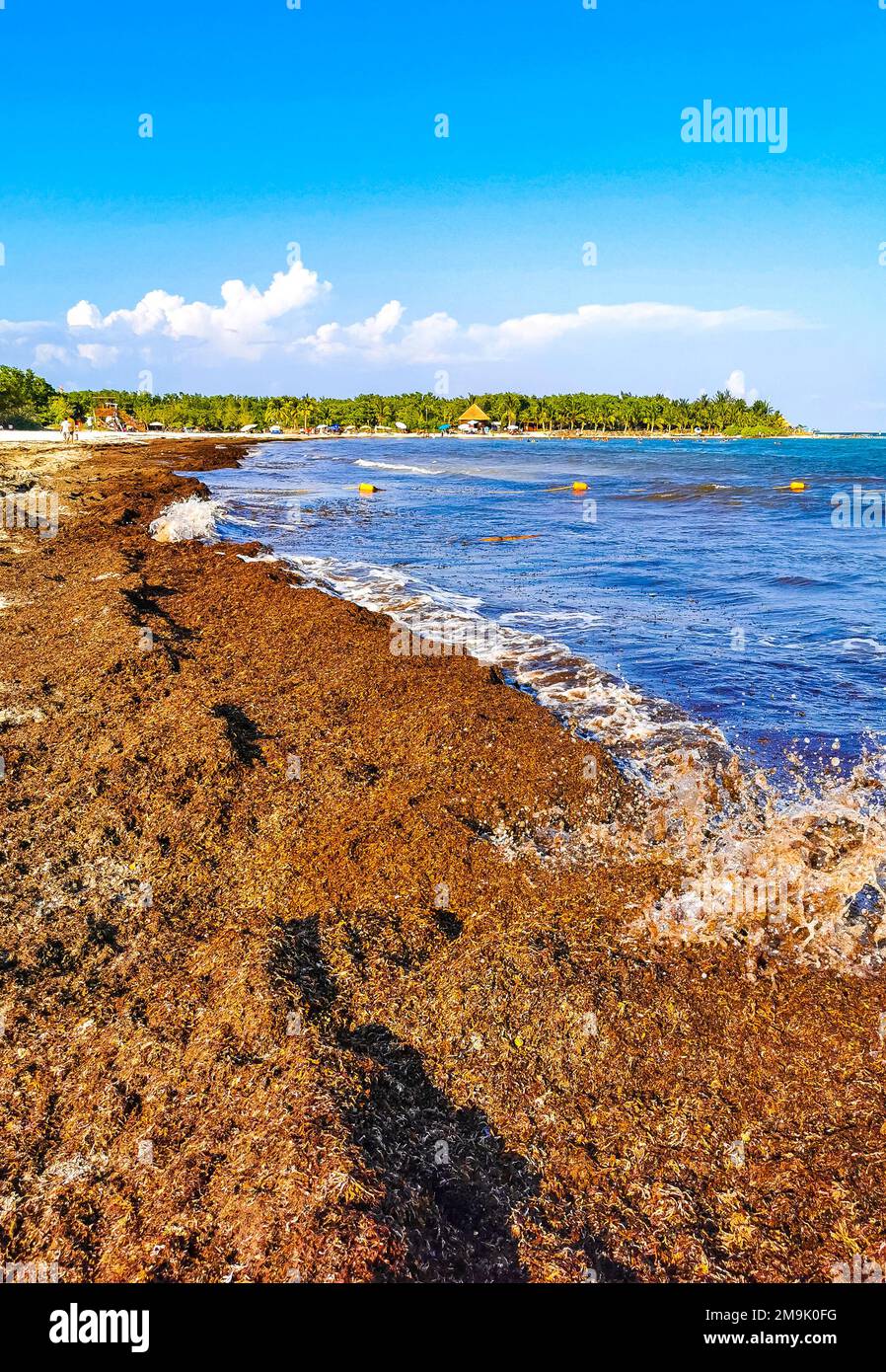 The beautiful Caribbean beach totally filthy and dirty the nasty ...