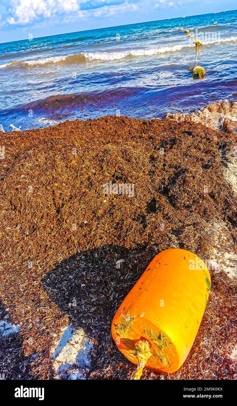 The beautiful Caribbean beach totally filthy and dirty the nasty ...
