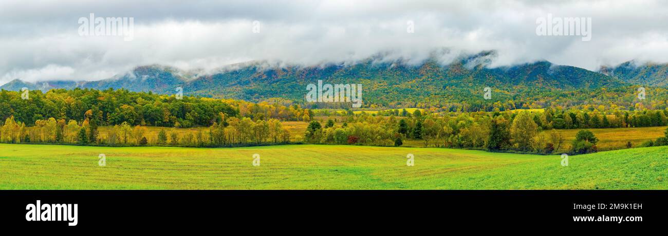 Field, trees and hills in autumn, Cades Cove, Great Smoky Mountains National Park, Tennessee, USA Stock Photo