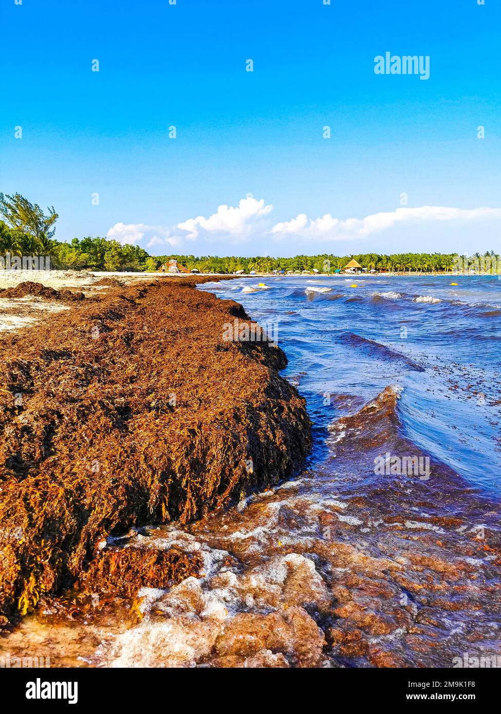 The beautiful Caribbean beach totally filthy and dirty the nasty ...