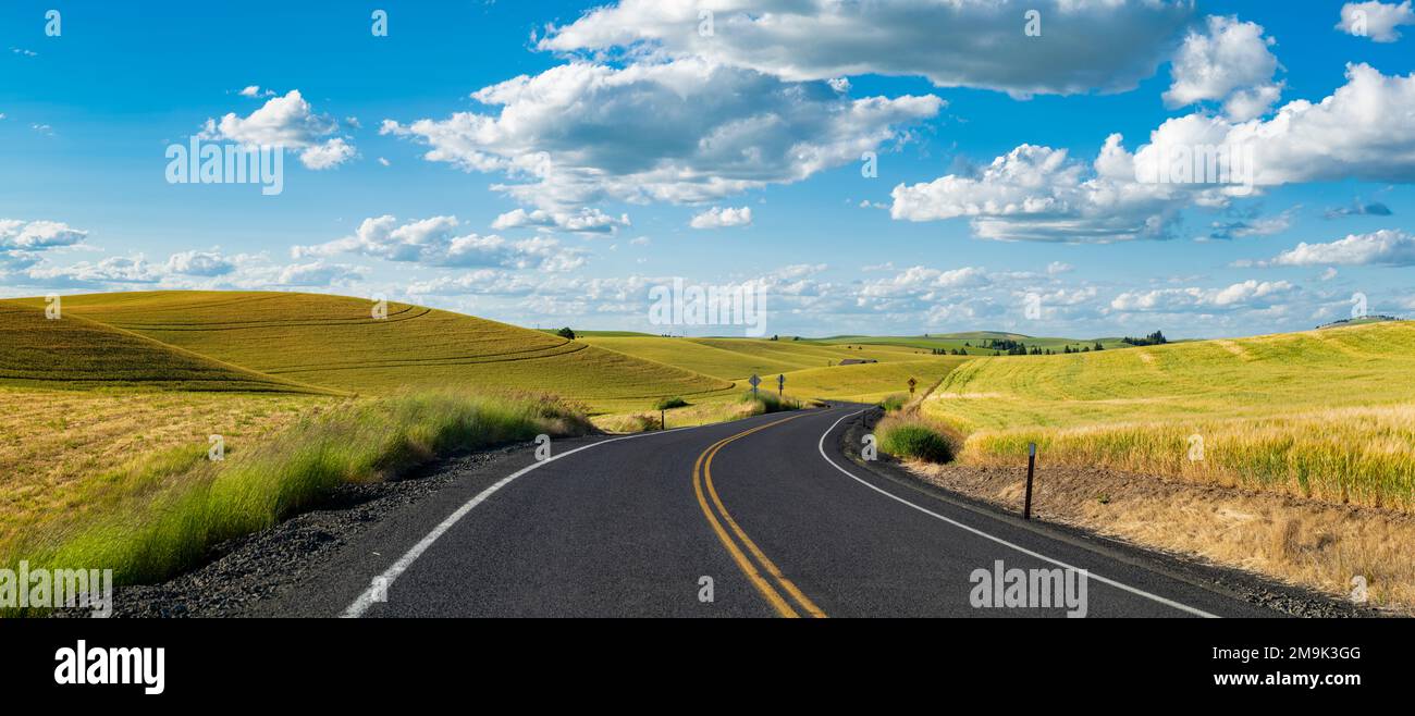 Road and fields on rolling hills, Highway 27, Palouse, Whitman County, Washington, USA Stock Photo