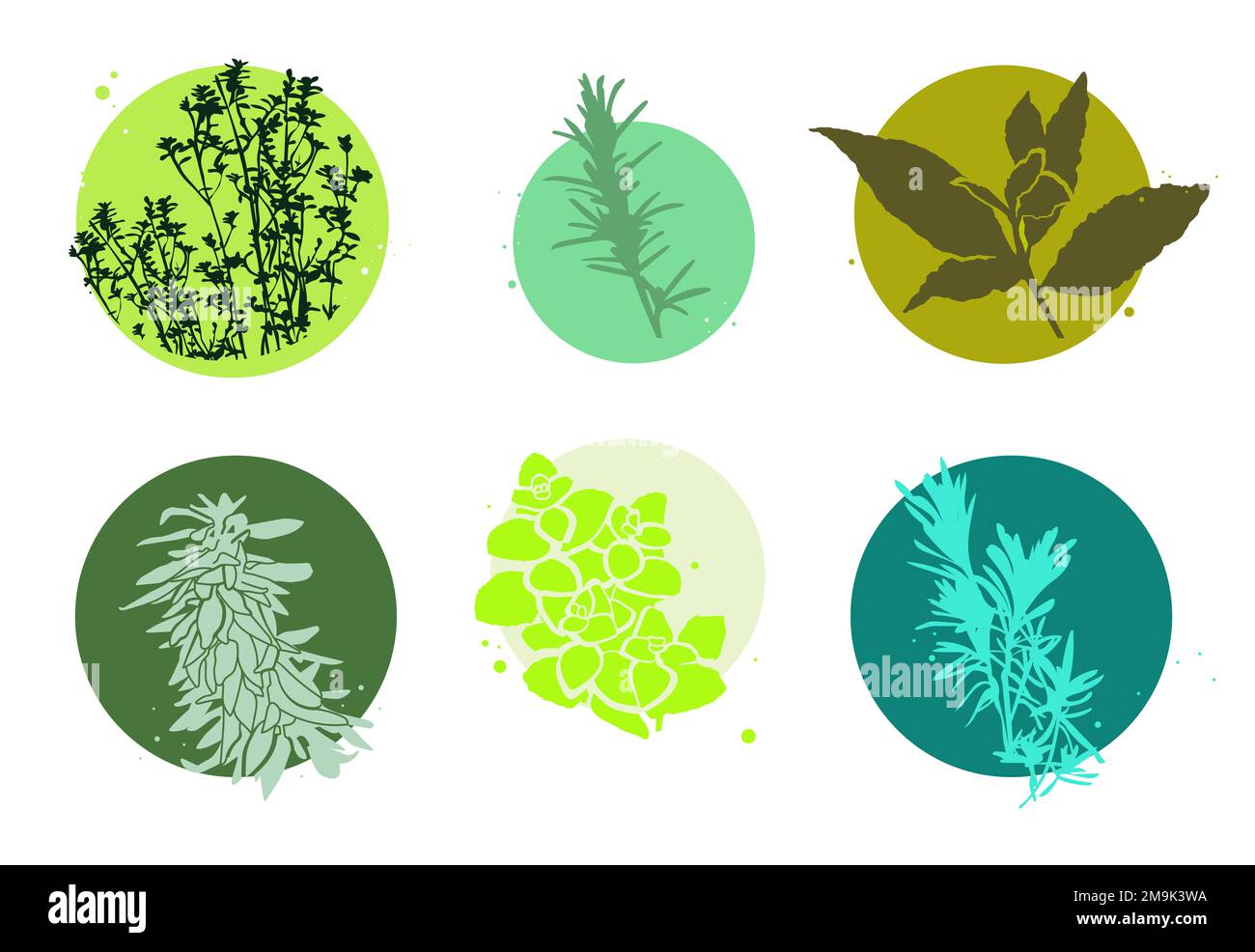 Aromatic plant condiment, bouquet garni to dry shadow illustration silhouetted collection group of objects Stock Photo