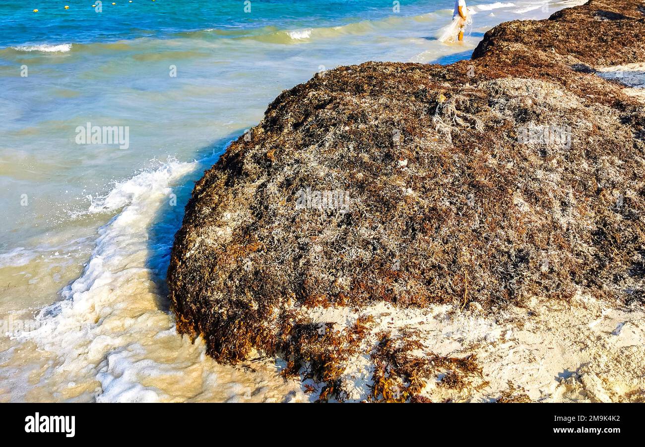 The beautiful Caribbean beach totally filthy and dirty the nasty ...