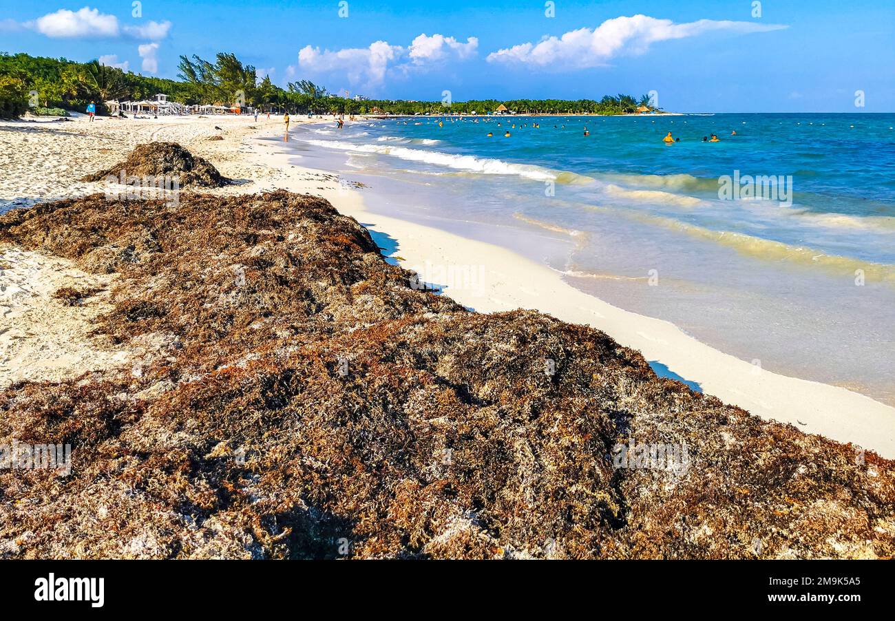The beautiful Caribbean beach totally filthy and dirty the nasty ...