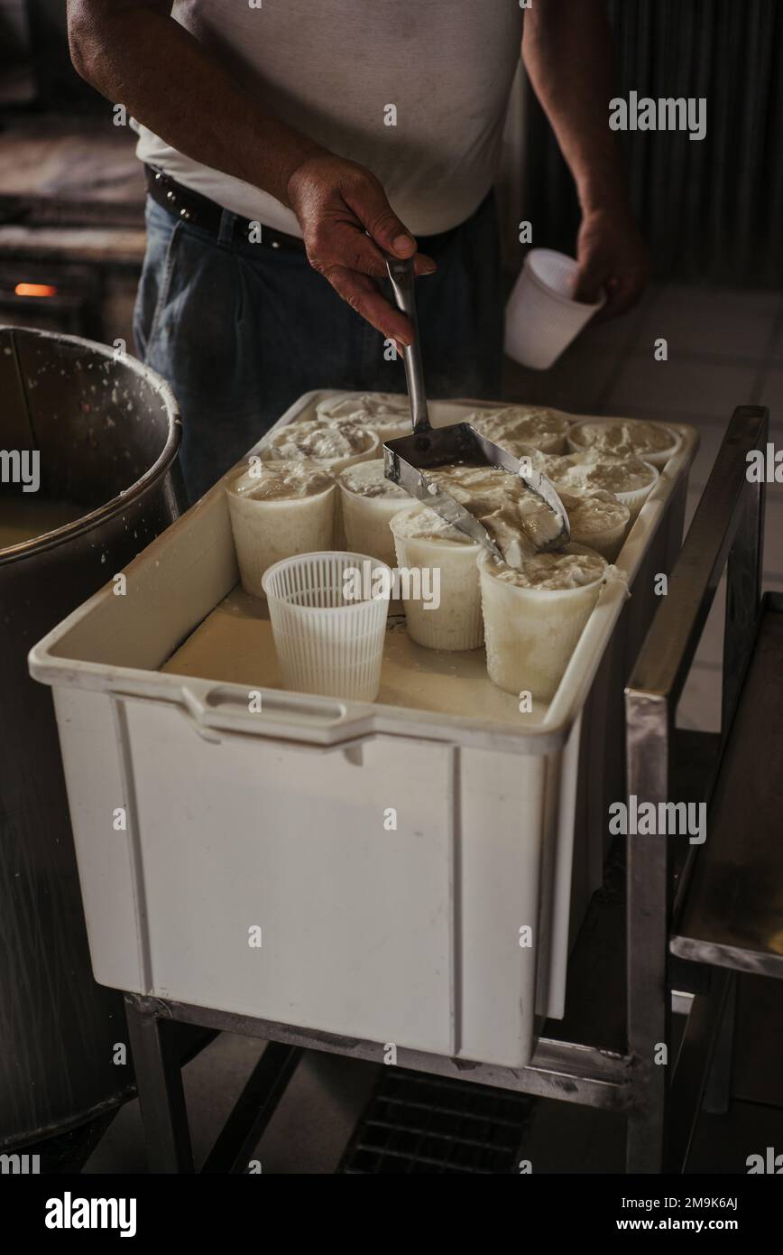 Making of ricotta cheese in a traditional way in Sicily Stock Photo Alamy