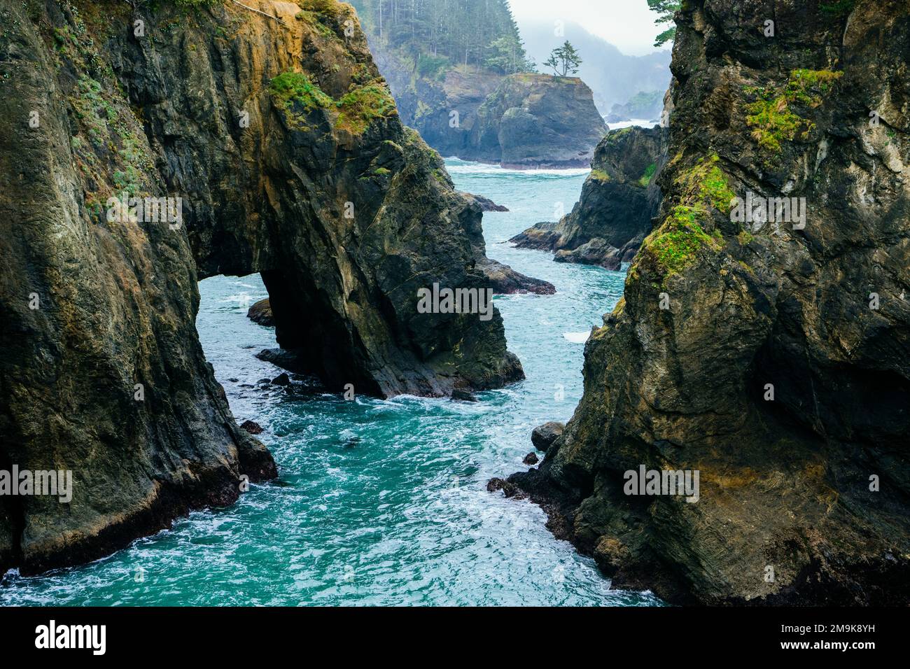 Inlet with natural bridge, Samuel H. Boardman State Scenic Corridor
