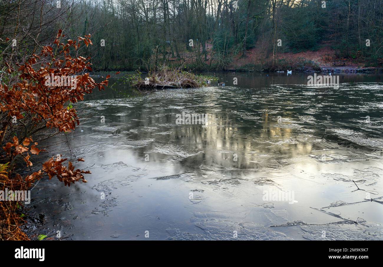 One of the Keston Ponds on Keston Common near the village of Keston in Kent, UK. A cold winter scene with ice on the surface of the pond. Stock Photo