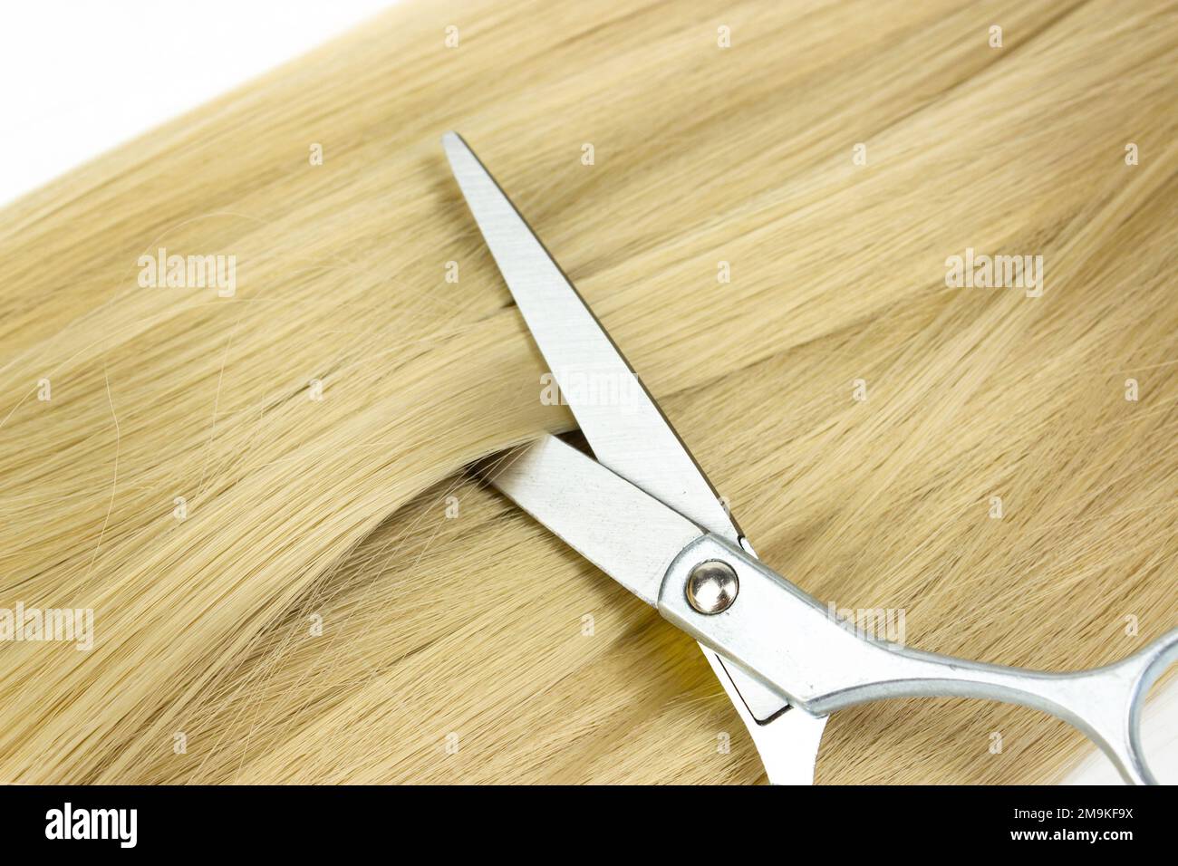 Scissors and piece of blond hair. Professional barber hair cutting shears on white background. Hairdressing Scissors with a strand blond hair on a lig Stock Photo