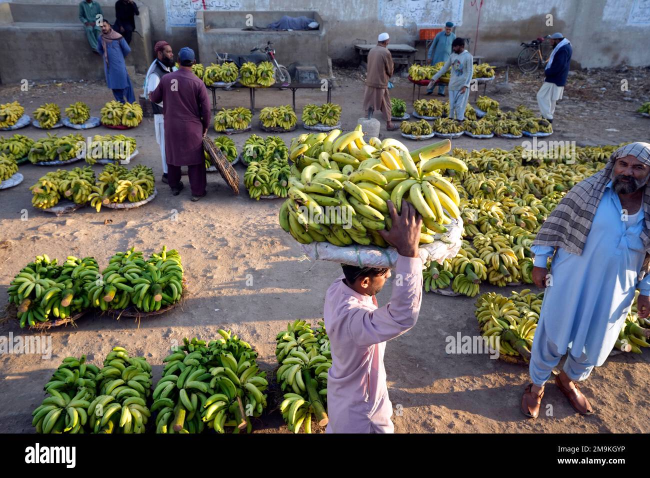 Pakistani workers sort bunches of bananas to be auctioned at a