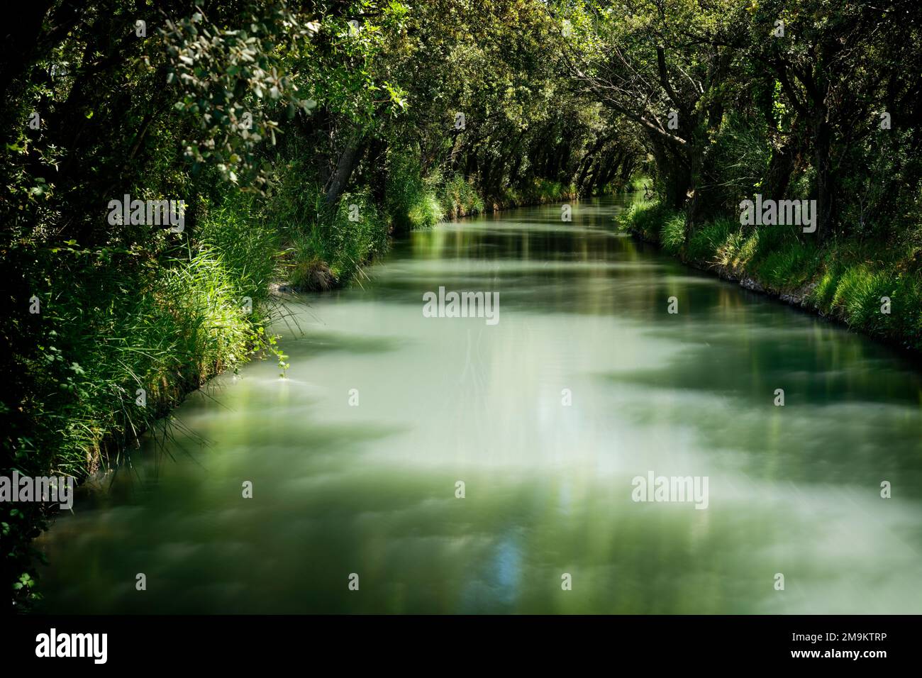 Landscape with Stream through the trees, Provence, France Stock Photo