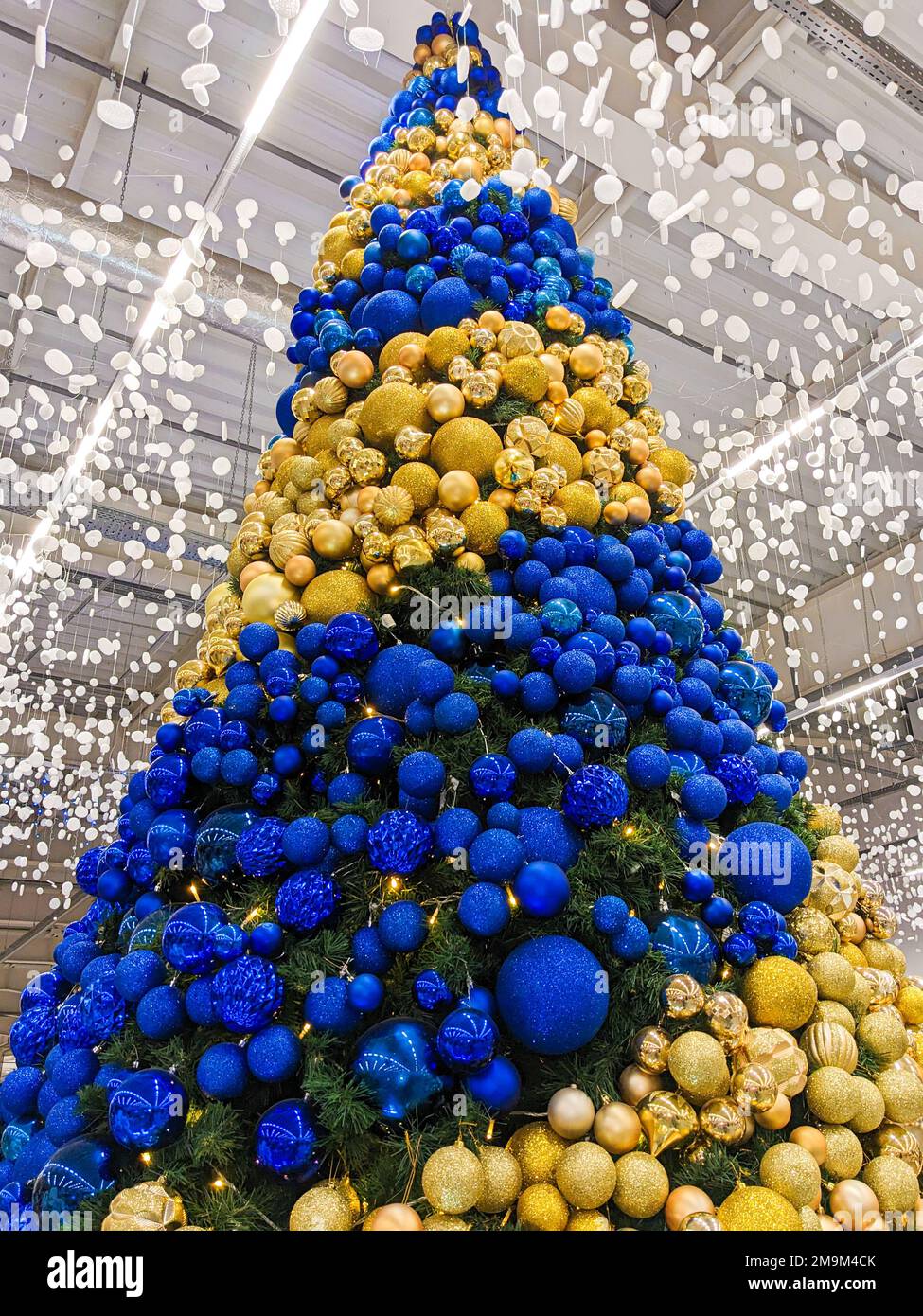 A large Christmas tree with yellow and blue balls Stock Photo Alamy
