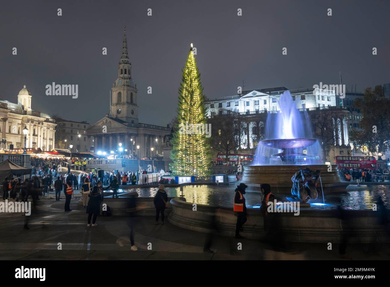 The Norwegian Christmas tree stands with its lights turned on at the