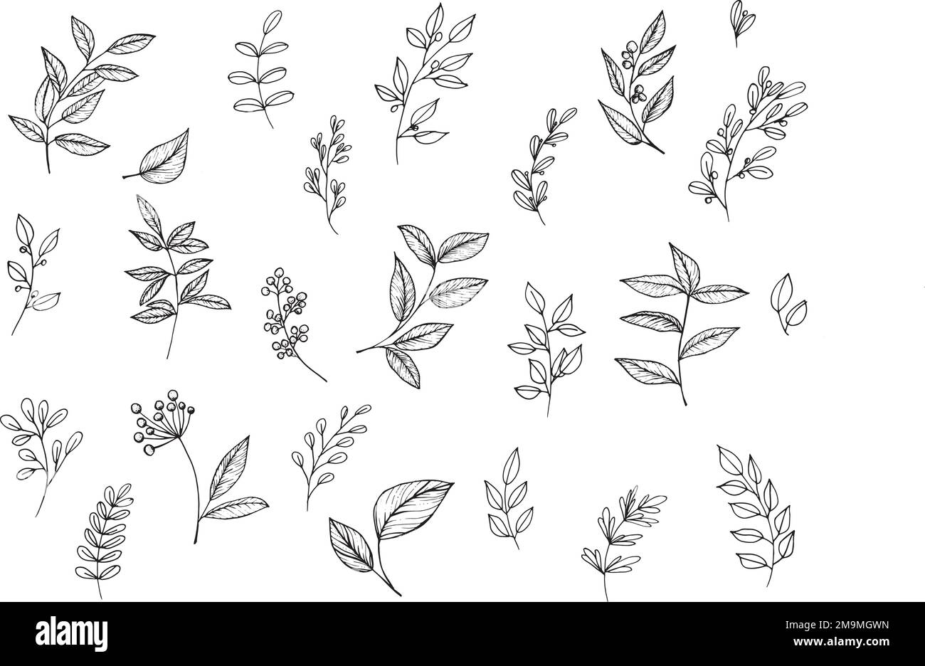 Set of graphic vector plant branches with leaves and flowers Stock ...