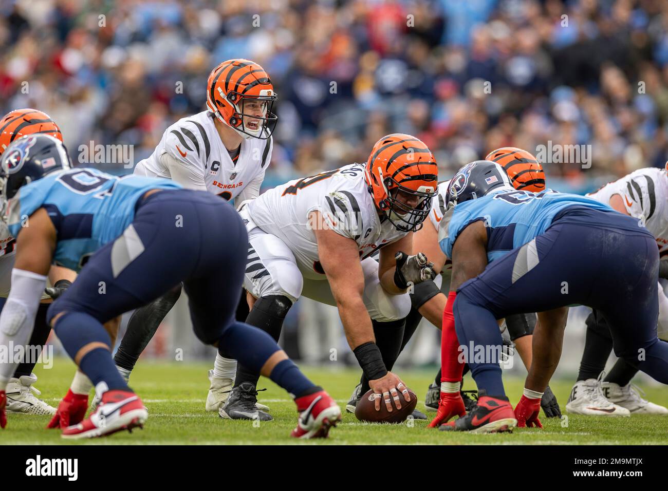 Bengals at Titans Game Center  Cincinnati Bengals 