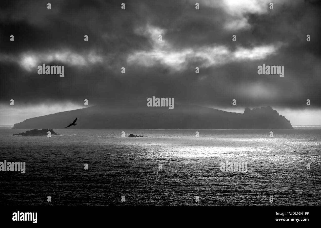 Fear Marbh (Dead Man), Island near Ballyickeen, view from Clogher Strand beach, ocean and cloudy dark skies, Dingle Peninsula, Co Kerry, Ireland Stock Photo