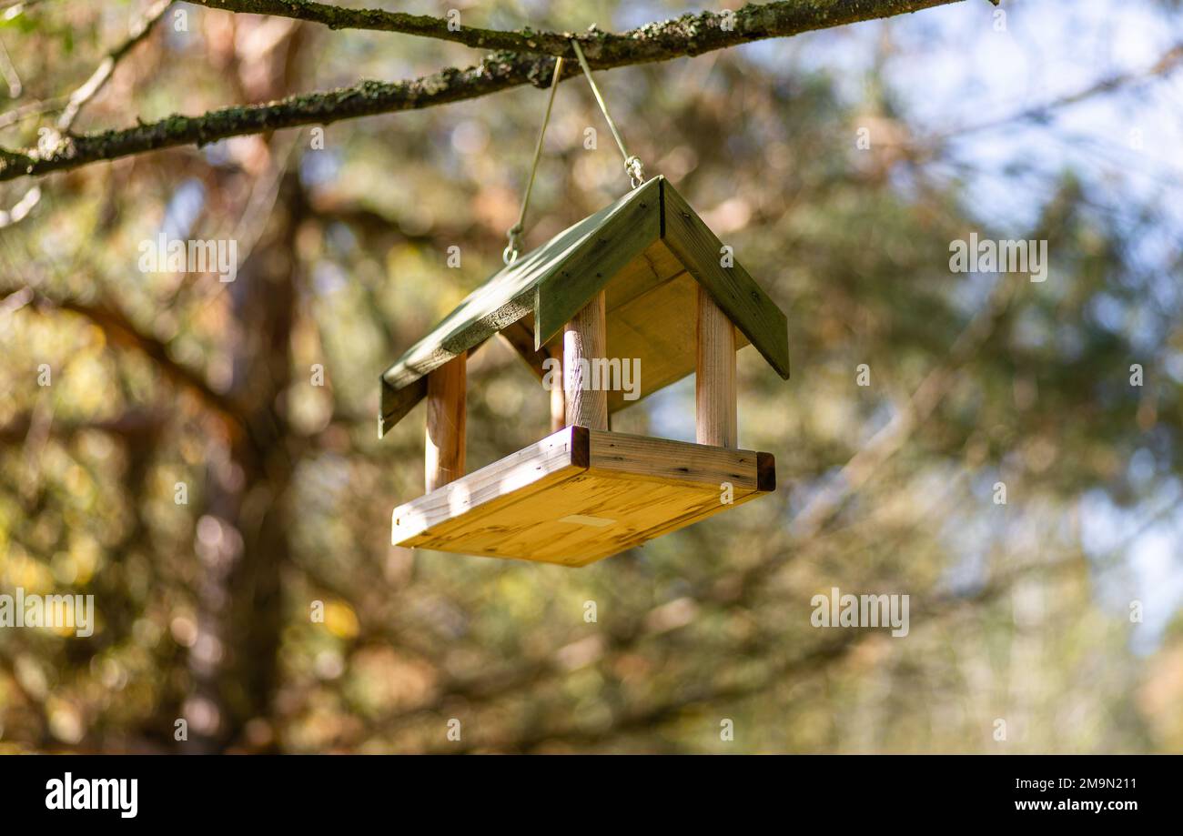 Bird house on a tree branch in the forest Stock Photo