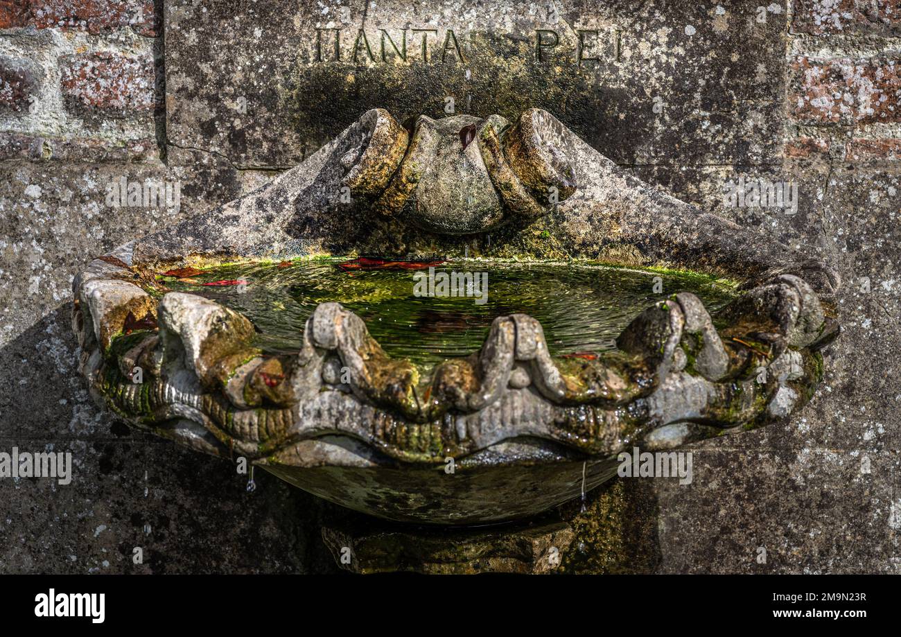 Medieval stone sink with fresh clean water in an old autumn garden in Ireland Stock Photo