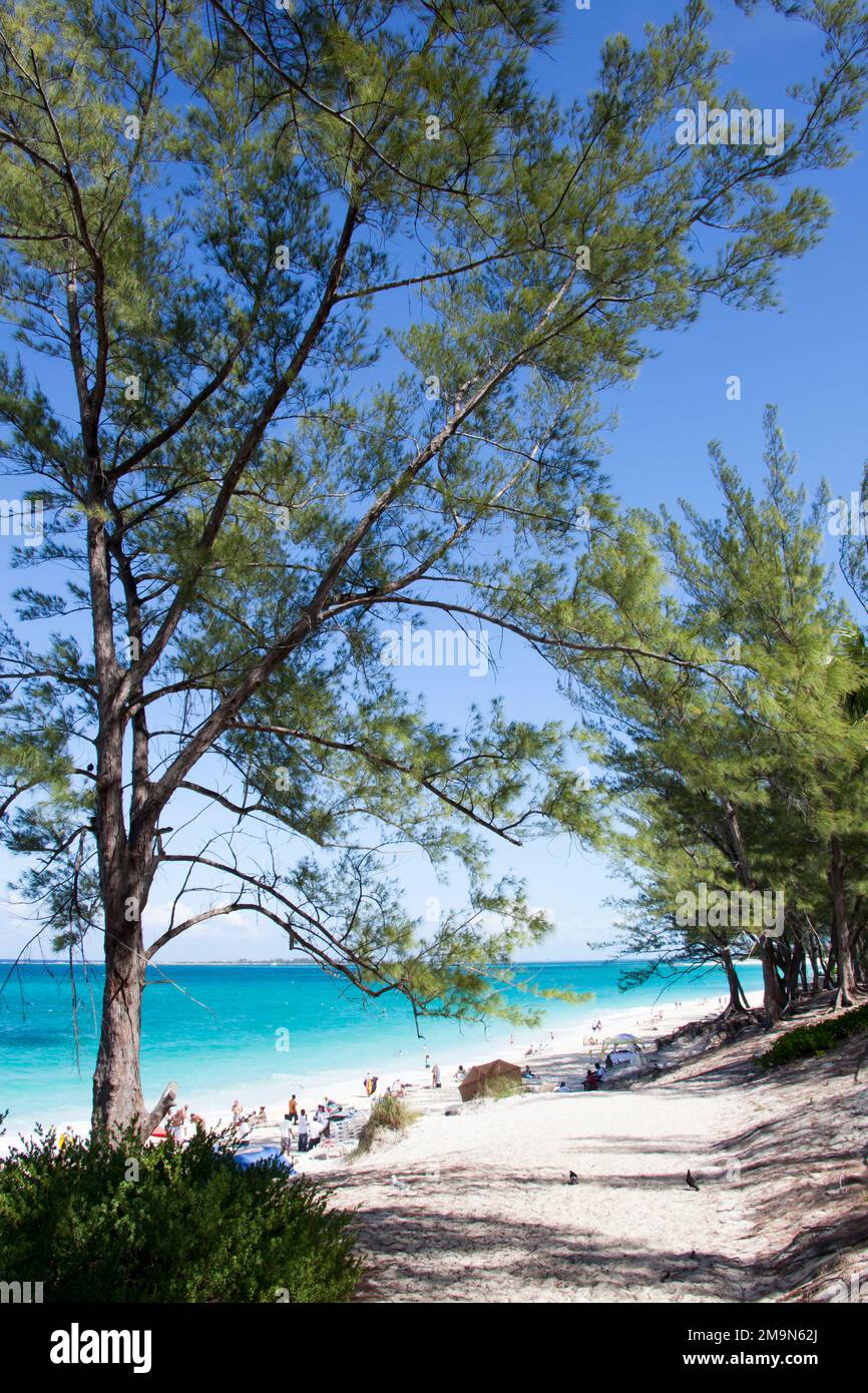 The entrance to Cabbage Beach, the public beach on Paradise Island
