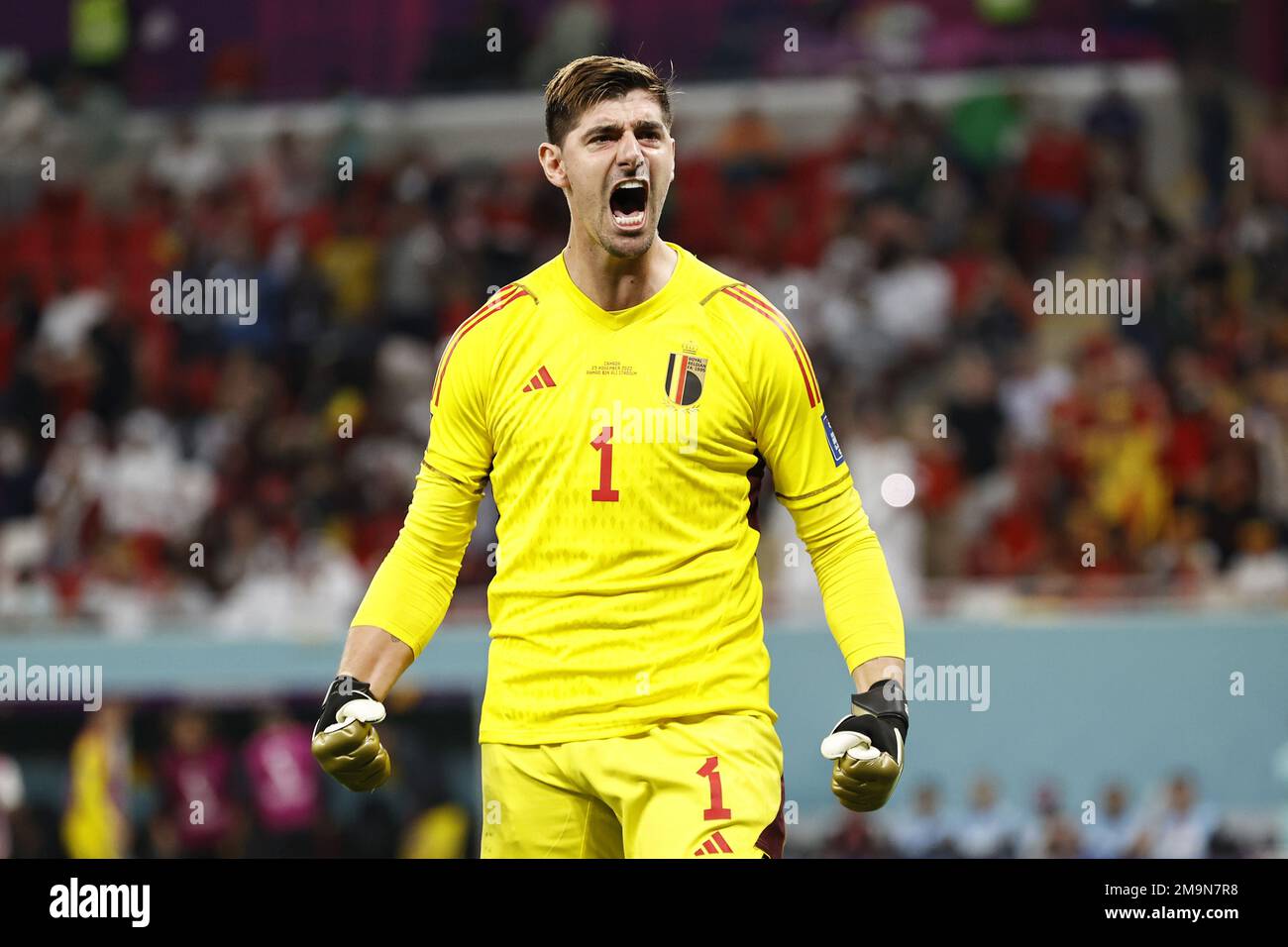 ALRAYYAN Belgium goalkeeper Thibaut Courtois during the FIFA World